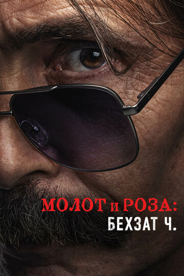  Молот и роза: Бехзат Ч 